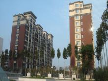 潍坊市和春住住宅楼，，，，，，，获得2013年度潍坊市“优质结构杯质量奖”